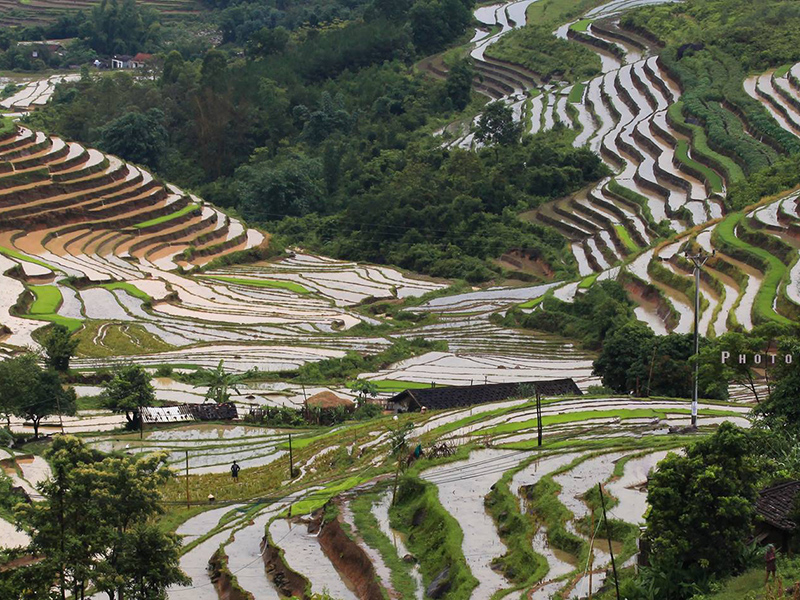 Miền Đông Bắc đang mùa đổ nước